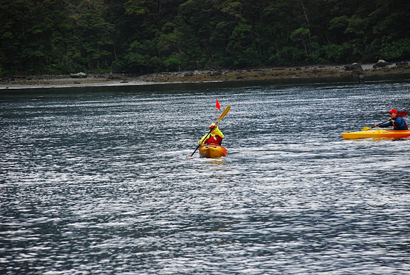 DSC_0698.JPG