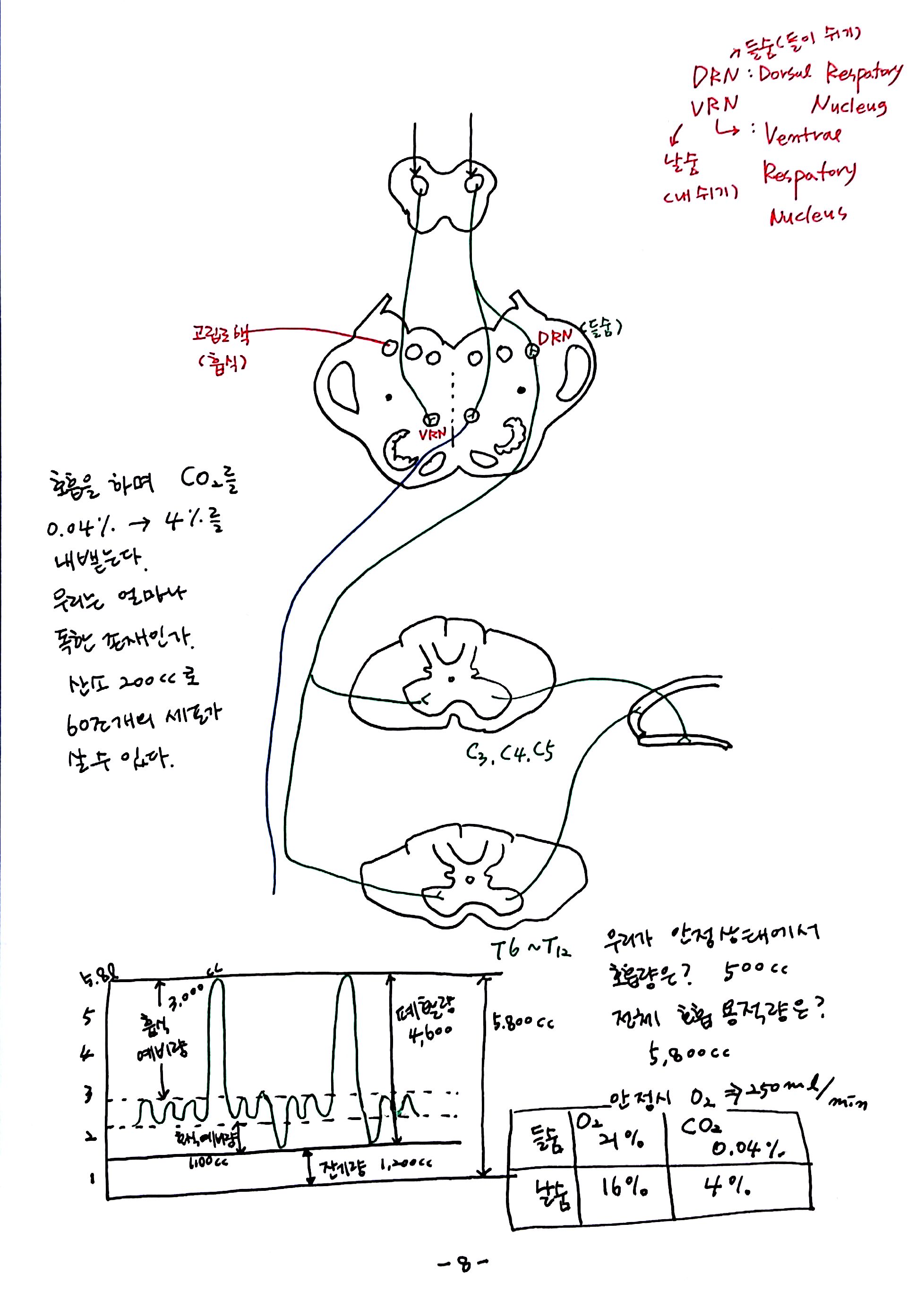 제 6회 특별한 뇌과학 5강 숨쉬고 (8).jpg