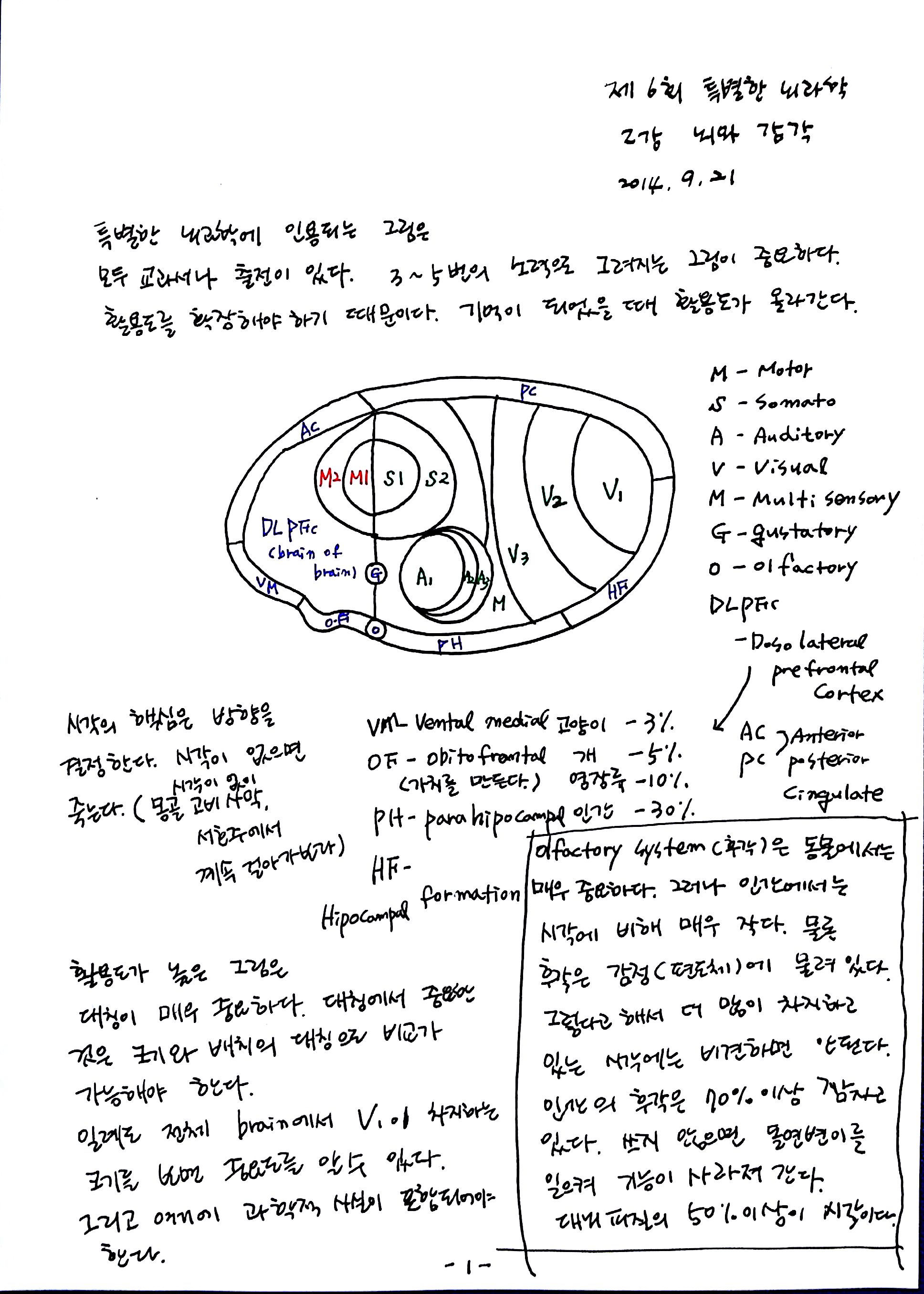 제 6회 특별한 뇌과학 2강 시각2 (1).jpg