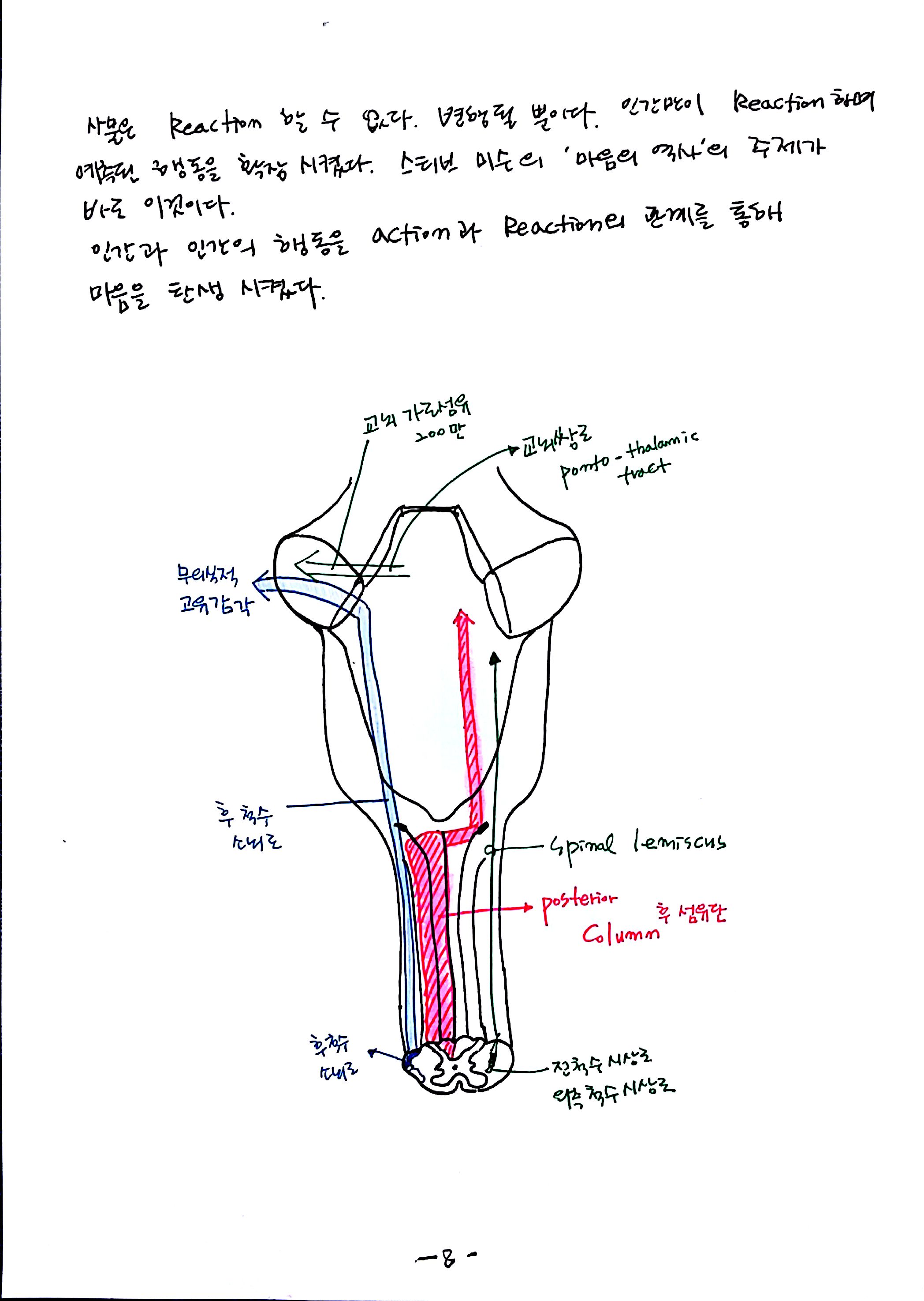 제6회특별한 뇌과학 제4강 자율,반사,수의 (8).jpg