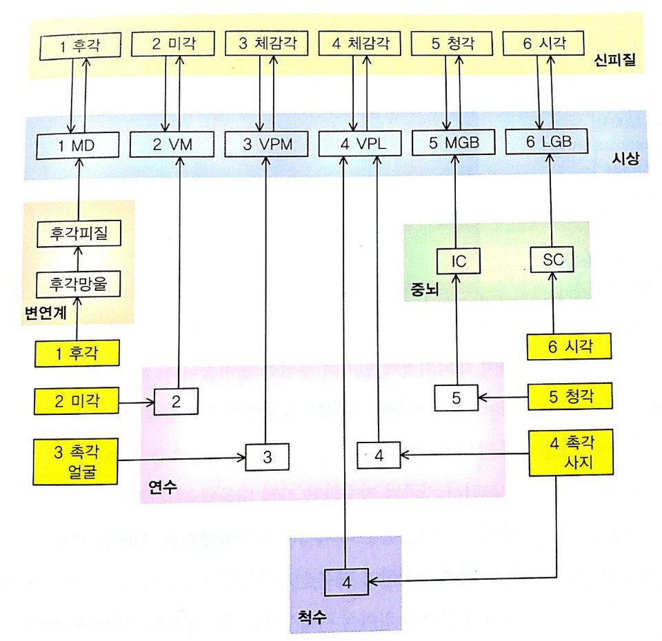 KakaoTalk_20170209_010341716.jpg KakaoTalk_20170209_010341716.jpg