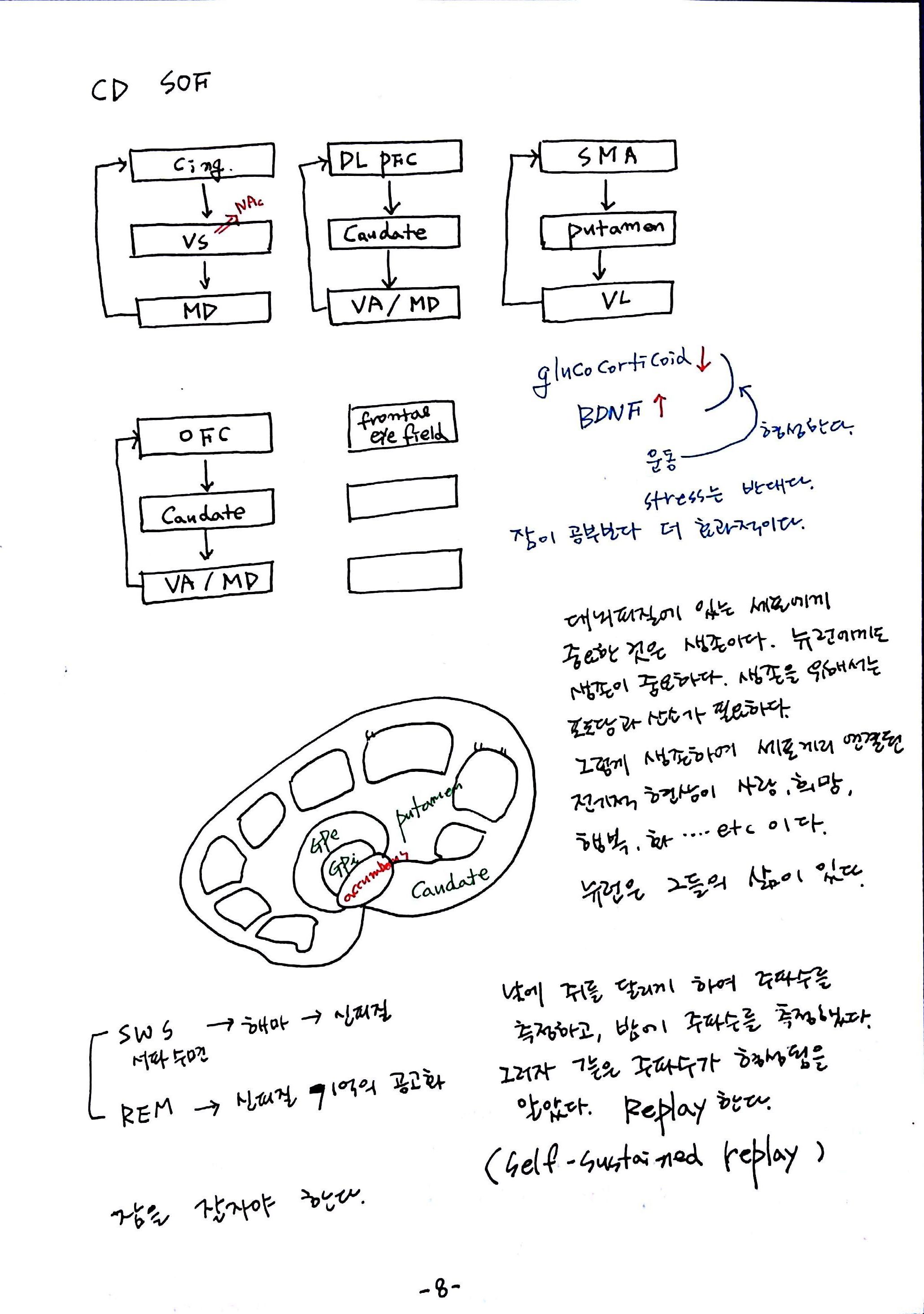 제 6회 특별한 뇌과학 8강 기억Ⅱ (8).jpg