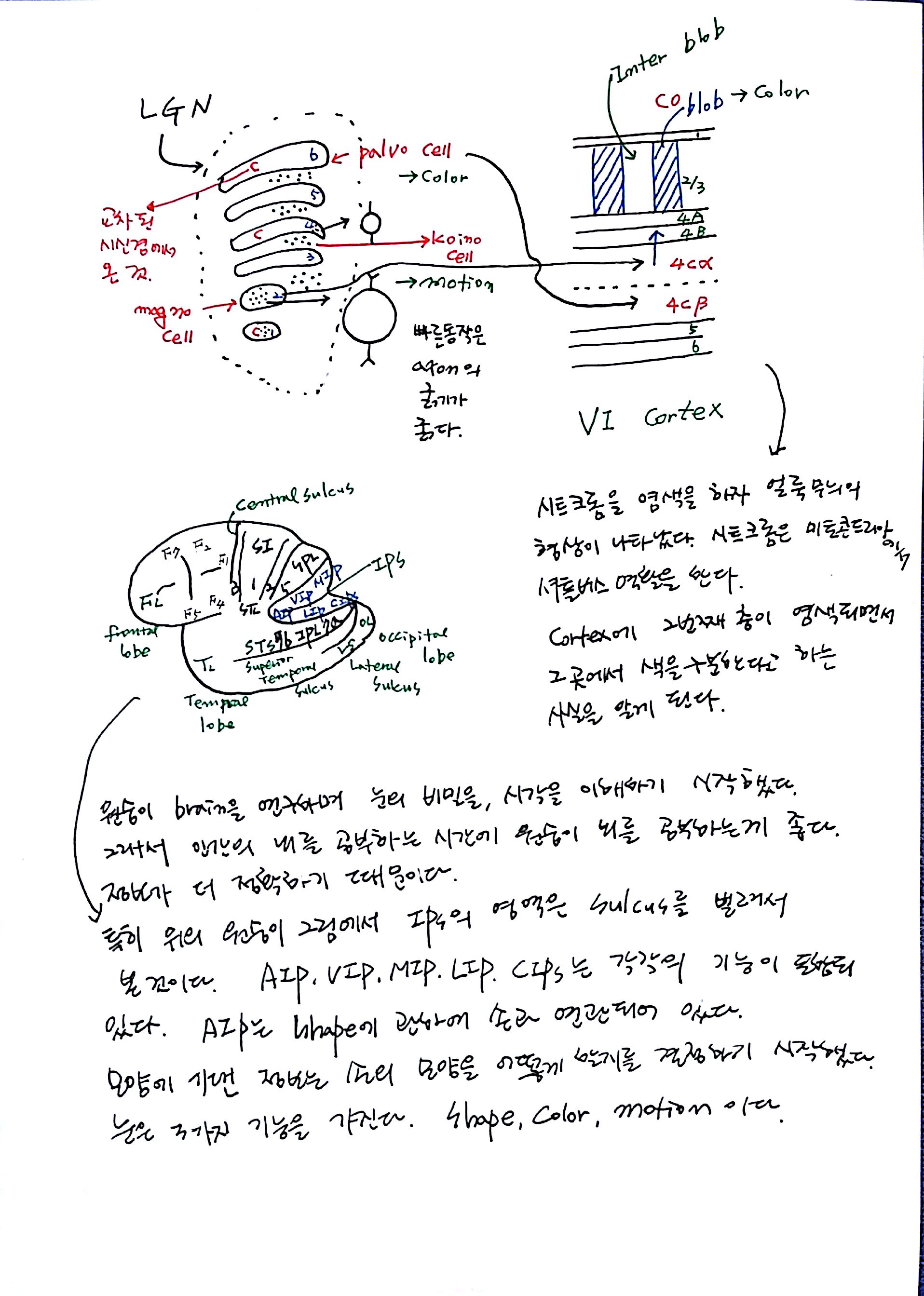 제 6회 특별한 뇌과학 1강 기억 (8).jpg