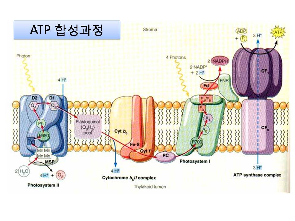 손진경 (25).jpg