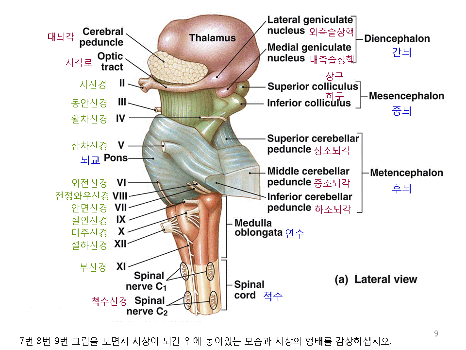 3.gif