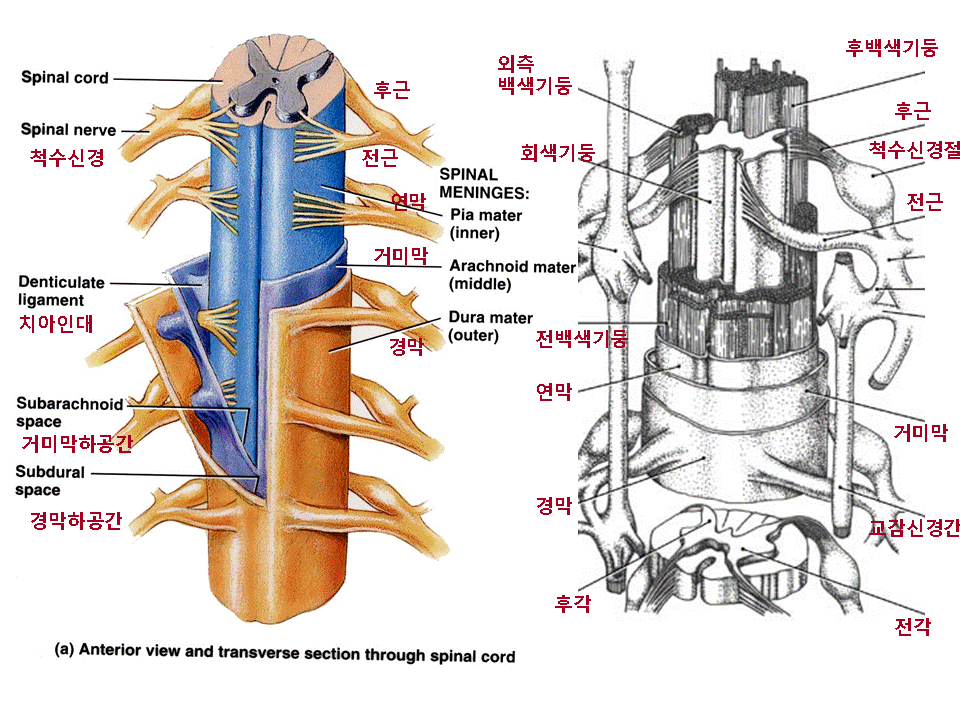 4.gif