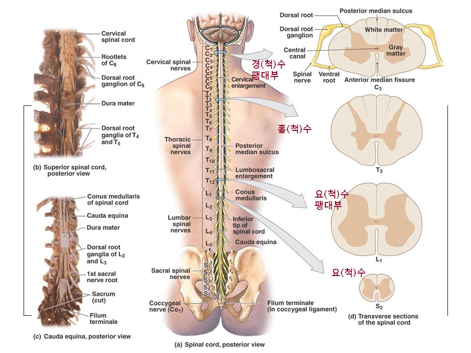 6.gif