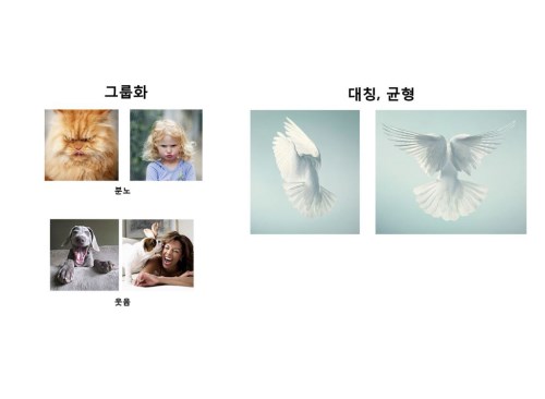new_캡처12.jpg new_캡처12.jpg